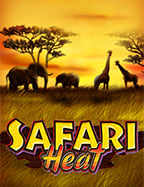 กฎของเกมแบล็คแจ็คโป๊กเกอร์ วิธีเล่นที่ต้องรู้